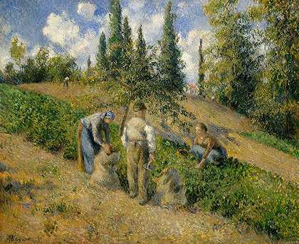收获，庞托伊斯`The Harvest, Pontoise (La Récolte, Pontoise) (1881) by Camille Pissarro