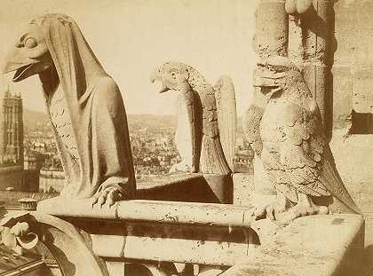 巴黎圣母院栏杆上的石像鬼`Gargoyles from the Balustrade, Notre-Dame de Paris by Adolphe Giraudon