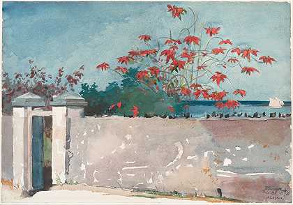 一堵墙，拿骚`A Wall, Nassau (1898) by Winslow Homer