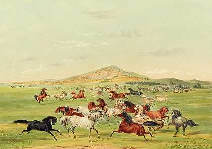 野马嬉戏`Wild Horses at Play by George Catlin