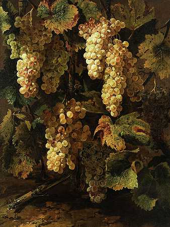 绿叶葡萄`Green Grapes with Leaves by Master of the Acquavella Still-Life