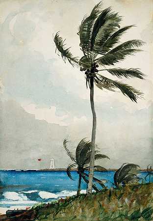 棕榈树，拿骚`Palm Tree, Nassau (1898) by Winslow Homer
