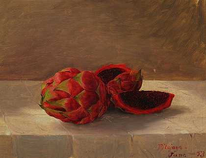 Pitajaya水果，哥伦比亚`The Pitajaya Fruit, Columbia by Frederic Edwin Church