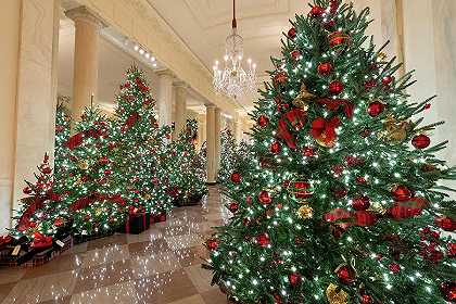圣诞节，白宫十字大厅`Christmas, Cross Hall of the White House by Official White House Photo