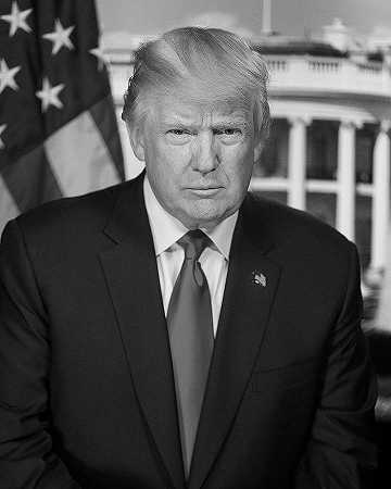 唐纳德·约翰·特朗普总统的官方肖像`Official portrait of President Donald John Trump by Official White House Photo