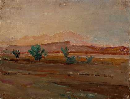 撒哈拉（雨后沙漠）`Sahara (Desert after a Rain) (1909) by Jan Ciągliński