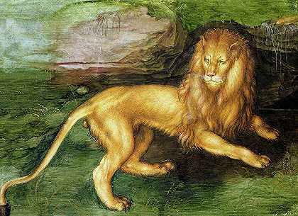 狮子，1494年`Lion, 1494 by Albrecht Durer
