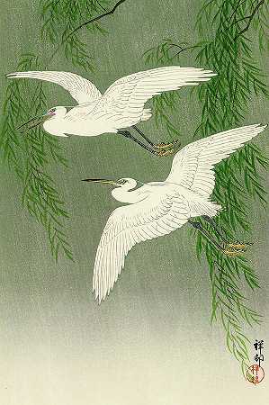 雨中的白鹭和柳树`White Herons and Willow in Rain by Ohara Koson