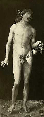 亚当，1507年`Adam, 1507 by Albrecht Durer