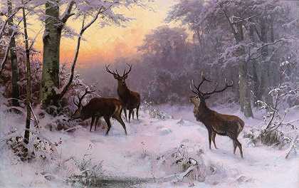 冬季森林中的野生动物`Wild im Winterwald (1874) by Arthur Thiele