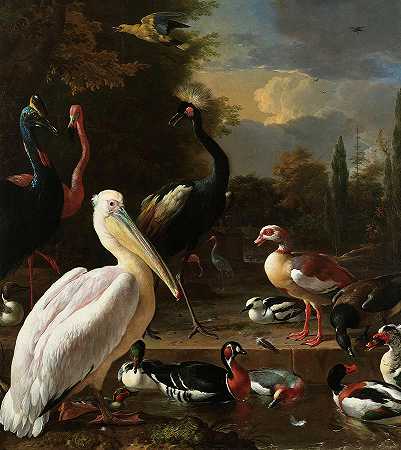 池塘附近漂浮的羽毛、鹈鹕和其他鸟类`The Floating Feather, A Pelican and other Birds near a Pool by Melchior d\’Hondecoeter