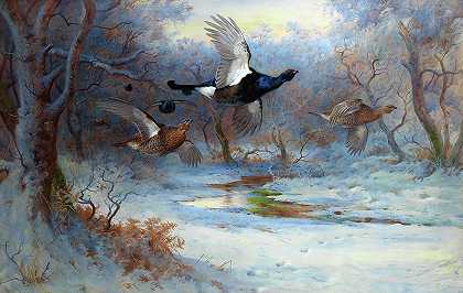 黑鸡和松鸡在飞翔，1924年冬天`Blackcock and Grouse in Flight, Winter, 1924 by Archibald Thorburn
