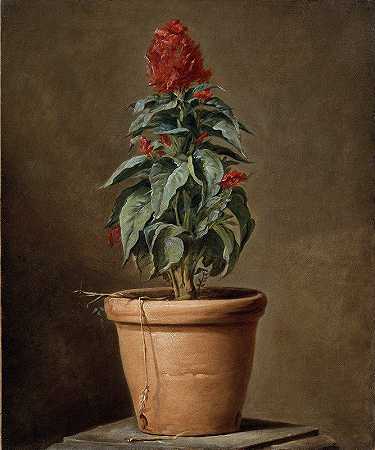 盆栽植物`A Potted Plant by Henri-Horace Roland Delaporte