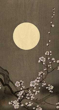 满月梅花盛开`Blooming Plum Blossom at Full Moon by Ohara Koson