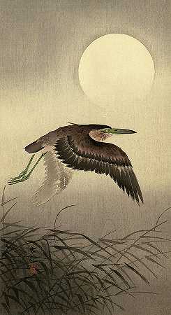 满月苍鹭`Heron at Full Moon by Ohara Koson