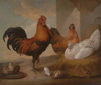 家养公鸡、母鸡和鸡`Domestic Cock, Hens and Chickens (1655) by Francis Barlow