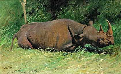 犀牛`Rhinoceros by Wilhelm Kuhnert