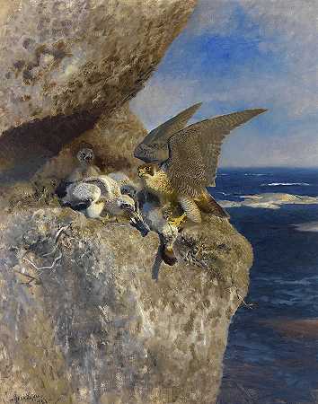 游隼`Peregrine Falcon by Bruno Liljefors