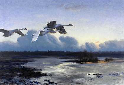 晚上迁徙时的沉默天鹅`Mute Swans on evening Migration by Bruno Liljefors