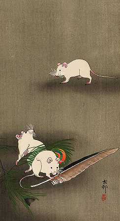 三只白老鼠和一根羽毛，1910年`Three white Mice and a Feather, 1910 by Ohara Koson