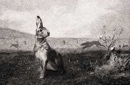 野兔`The Hare by Felix Bracquemond
