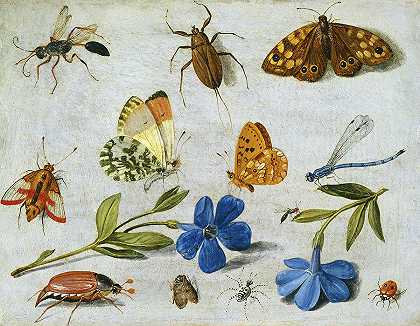 昆虫，1834年`Insects, 1834 by Jan van Kessel