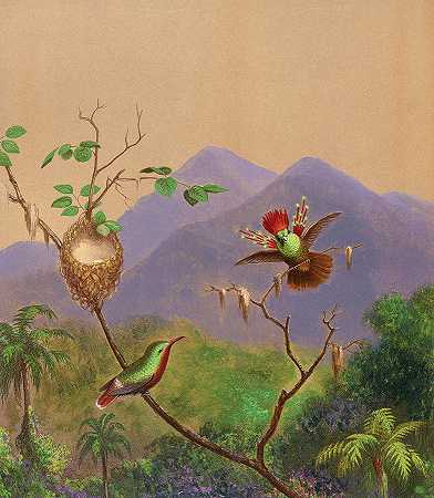巴西蜂鸟三世，1819-1904年`Brazilian Hummingbirds III, 1819-1904 by Martin Johnson Heade