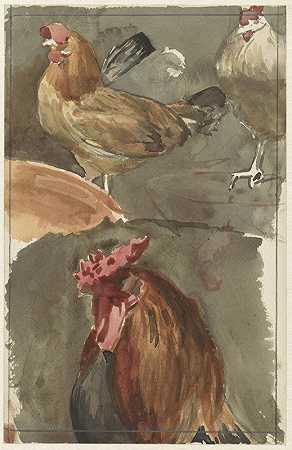 鸡公鸡`Haan met kippen (1874 1925) by Jan Veth
