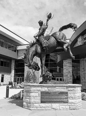 怀俄明州牛仔`The Wyoming Cowboy by Carol McKinney Highsmith