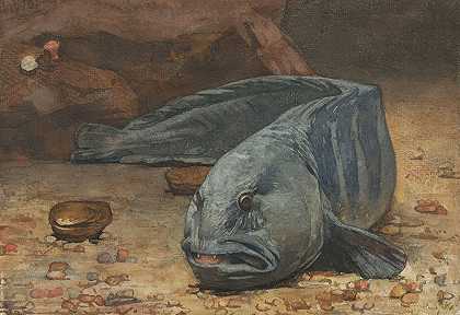 水族馆底部的海狼`Zeewolf op de bodem van een aquarium (1883) by Willem Witsen