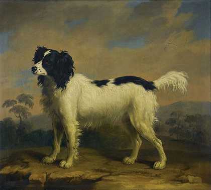 风景中的黑白猎犬`A black and white spaniel in a landscape by William Greene Junior
