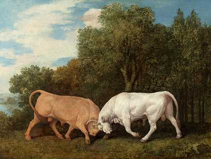 公牛队战斗，1724-1806年`Bulls Fighting, 1724-1806 by George Stubbs