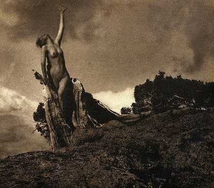 《爆松之魂》，1908年`Soul of the Blasted Pine, 1908 by Anne Brigman