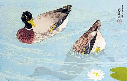 百合花池里的两只鸭子`Two Ducks in a Lily Pond by Hashiguchi Goyo