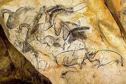 马、犀牛和野牛`Horses, Rhinoceroses and Bison by Chauvet Cave