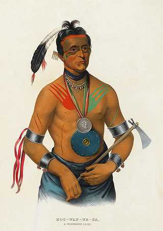 胡万·内卡，温尼贝戈酋长`Hoo-Wan-Ne-Ka, A Winnebago Chief by Charles Bird King