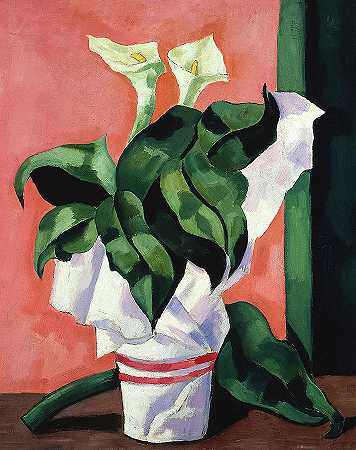 马蹄莲，1928年`Calla Lilies, 1928 by Marsden Hartley