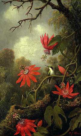 蜂鸟与西番莲，1875-1885`Hummingbird and Passionflowers, 1875-1885 by Martin Johnson Heade