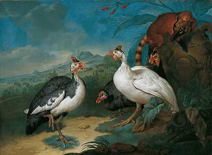 珍珠鸡和鼻鸟`Perlhühner Und Nasenbär (1722) by Philipp Ferdinand de Hamilton