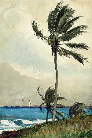 棕榈树，拿骚，1899年`Palm Tree, Nassau, 1899 by Winslow Homer