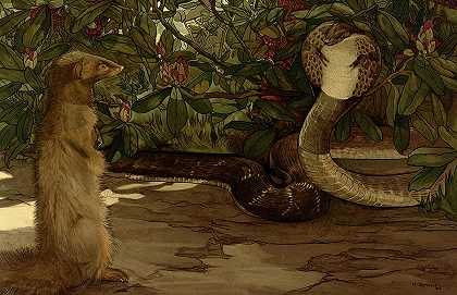 Rikki Tikki Tavi，《丛林之书》，1903年`Rikki-Tikki-Tavi, The Jungle Book, 1903 by Rudyard Kipling
