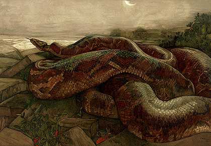 巨蟒之歌，丛林之书，1903年`Kaa the Python, The Jungle Book, 1903 by Rudyard Kipling