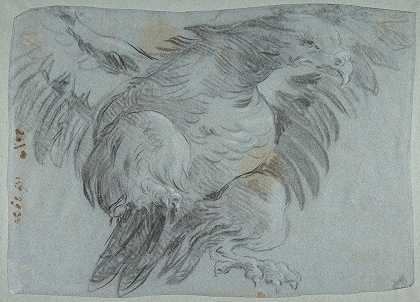 展翅的鹰`An Eagle with Wings Spread (1696–1770) by Giovanni Battista Tiepolo