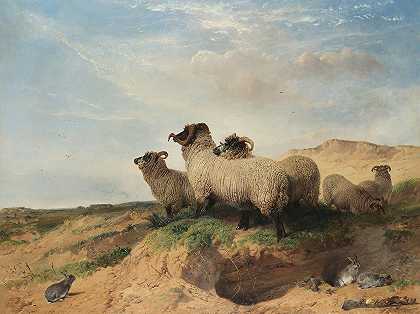 利瑟姆沙丘`Lytham Sandhills (1853) by Richard Ansdell