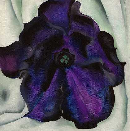 紫色牵牛花，1925年`Purple Petunia, 1925 by Georgia O\’Keeffe