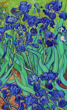 鸢尾花，·Irises, 19th Century by Vincent van Gogh