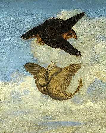 苍鹭与鹰搏斗`Heron fights Hawk by Vittore Carpaccio