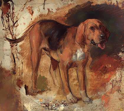 对猎犬的研究`Study of a Bloodhound