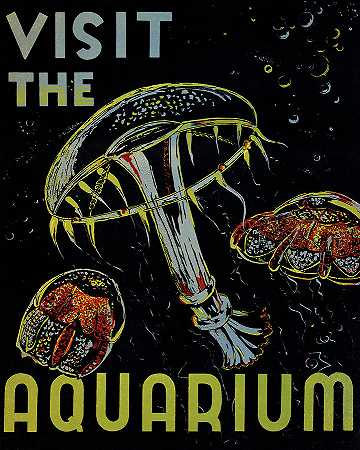 参观水族馆，水母`Visit the Aquarium, Jellyfish by Federal Art Project