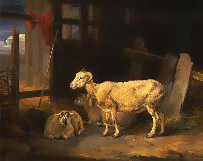 母羊和羔羊`Ewe and Lambs